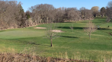 view of golf course green with trees