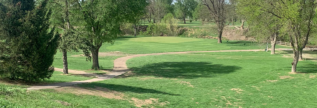 golf course with trees